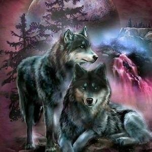 Meet your Posher, Ilene